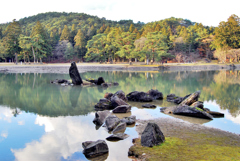 浄土庭園