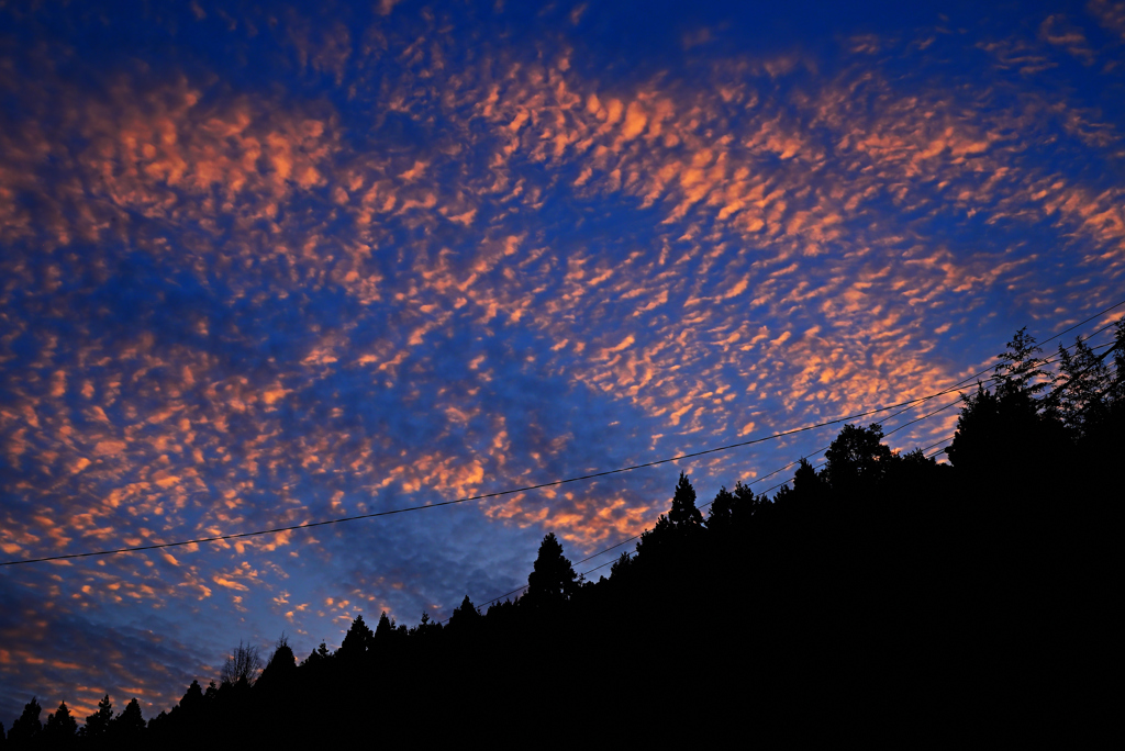 晩秋の夕焼雲