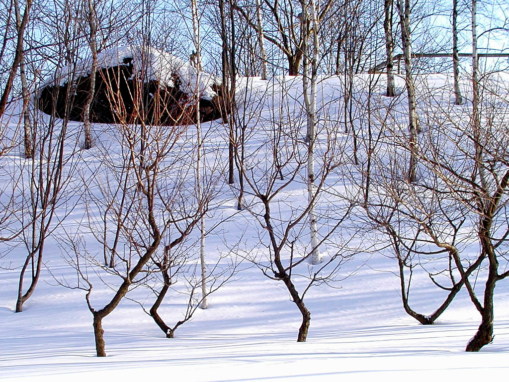 積雪40cm