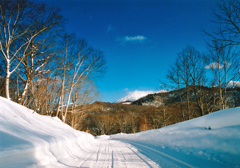 雪の八幡平へ