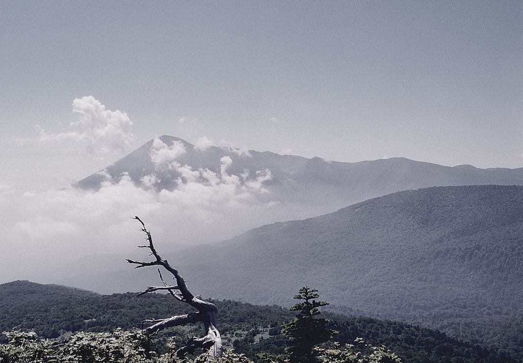 岩手山を望む