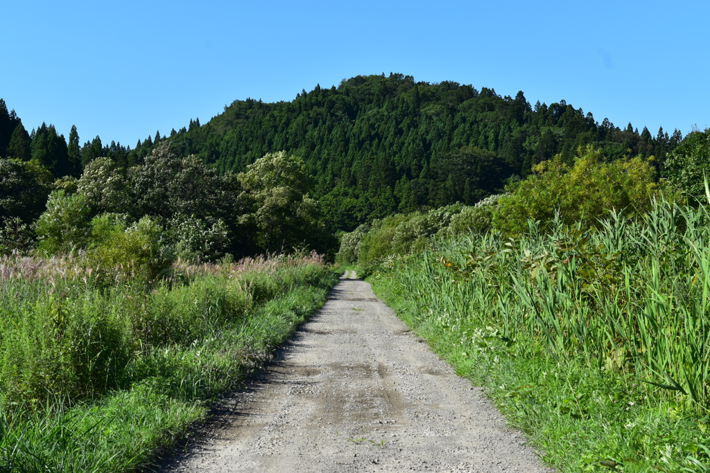 カントリーロード