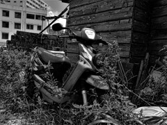 GXR