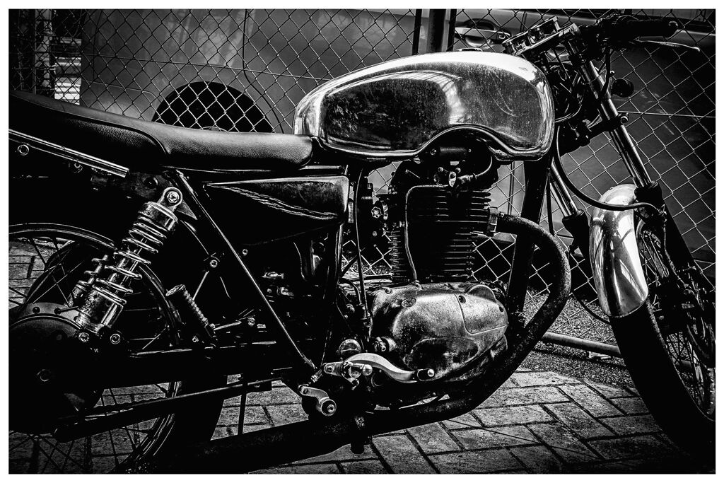 monochrome
