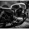 monochrome