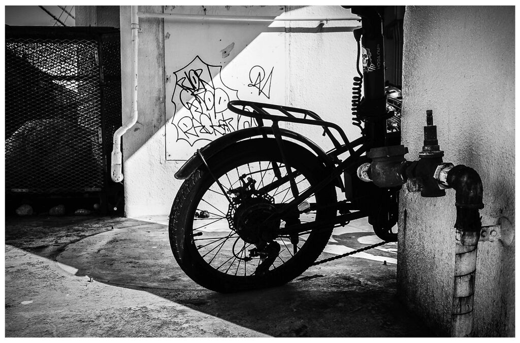 monochrome