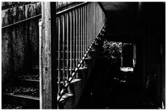 monochrome