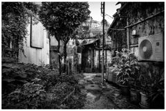 monochrome