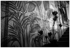 monochrome