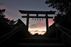 夜景