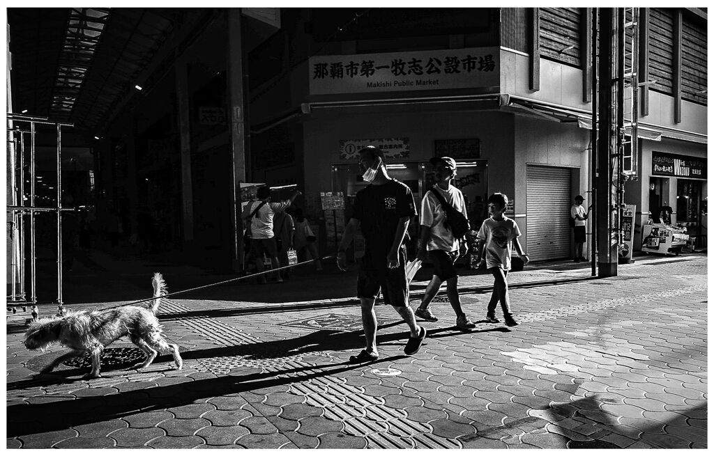 monochrome