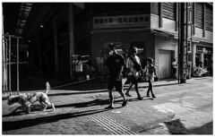 monochrome
