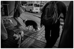 monochrome