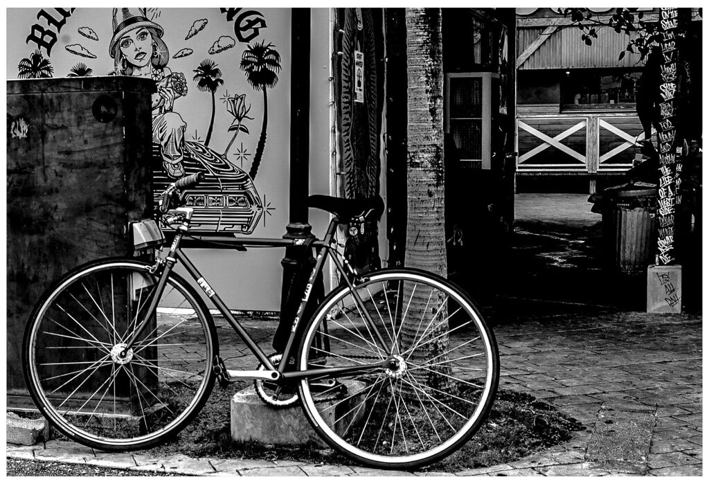 monochrome
