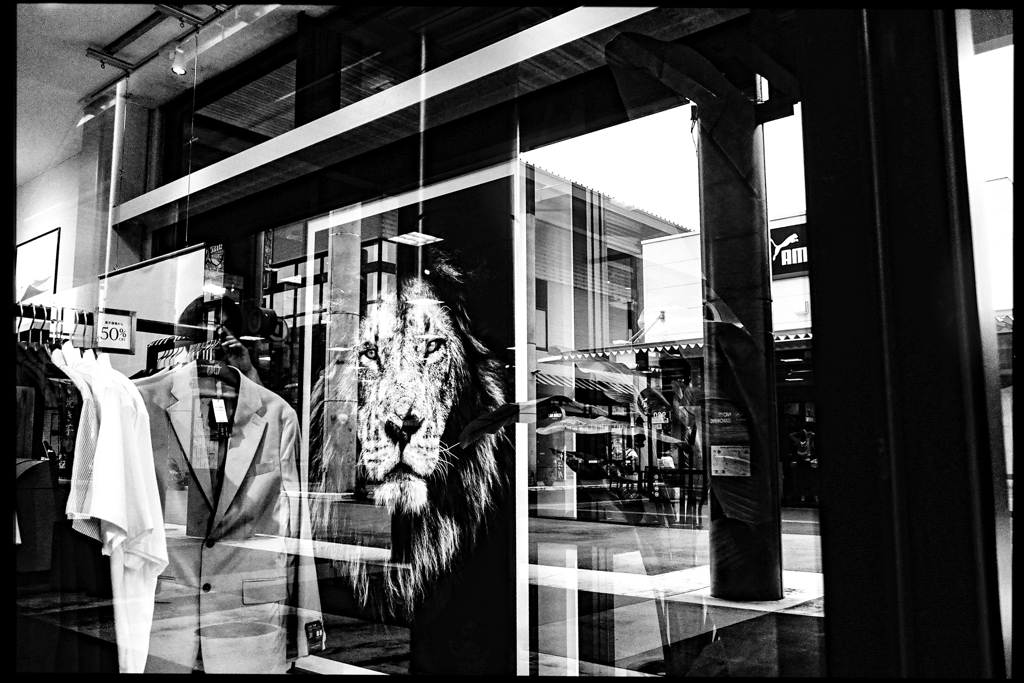 monochrome  DSC-RX100M3