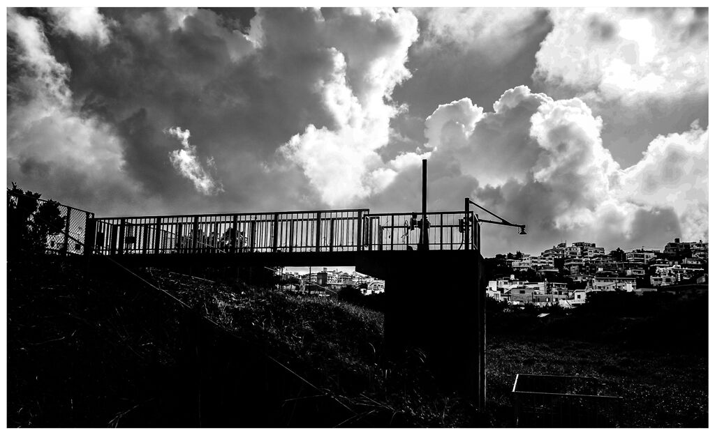 monochrome
