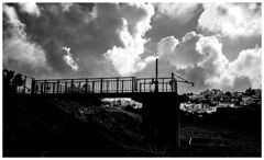 monochrome
