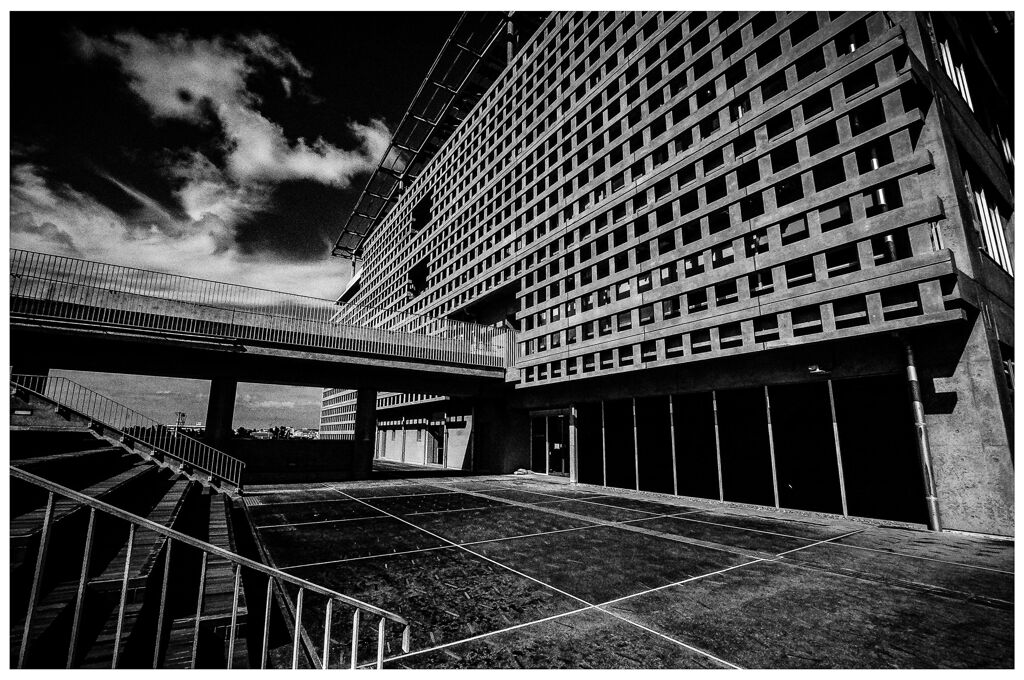 monochrome