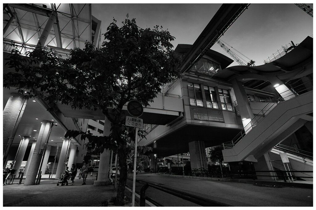monochrome