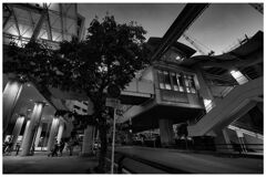 monochrome