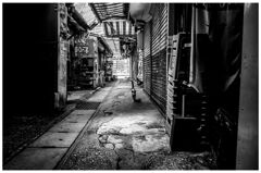 monochrome