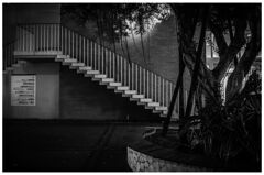 monochrome