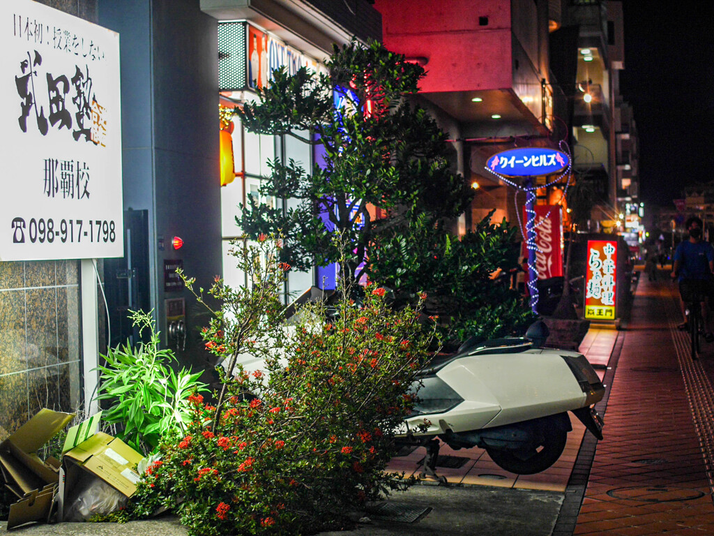 夜景