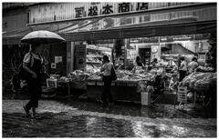 monochrome