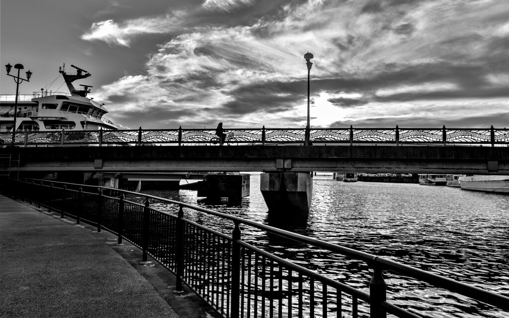 monochrome