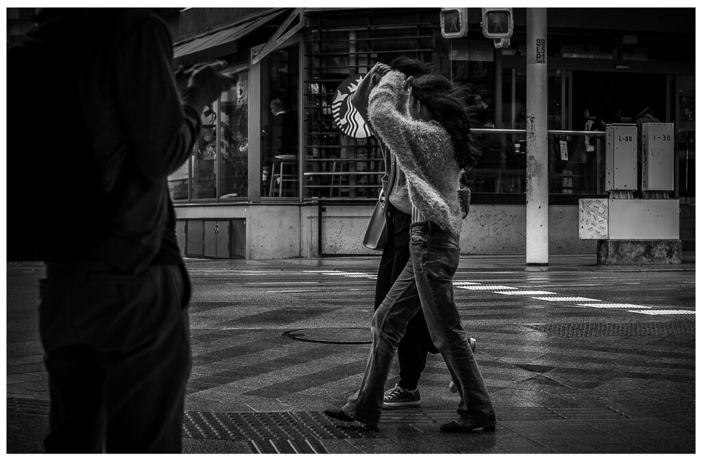 monochrome