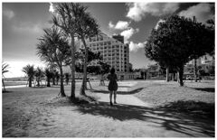 monochrome