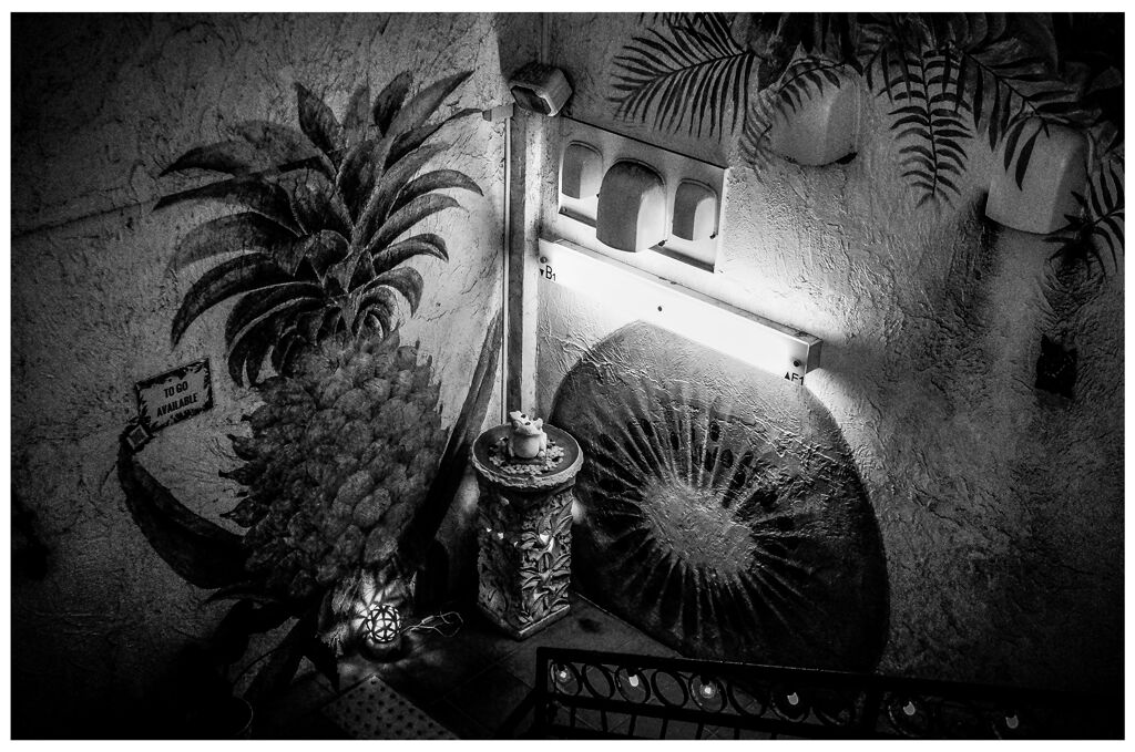 monochrome
