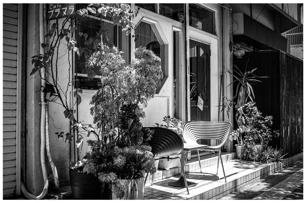 monochrome
