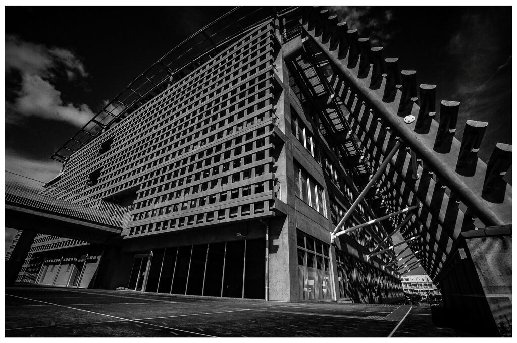 monochrome
