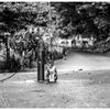 ねこ