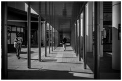 monochrome