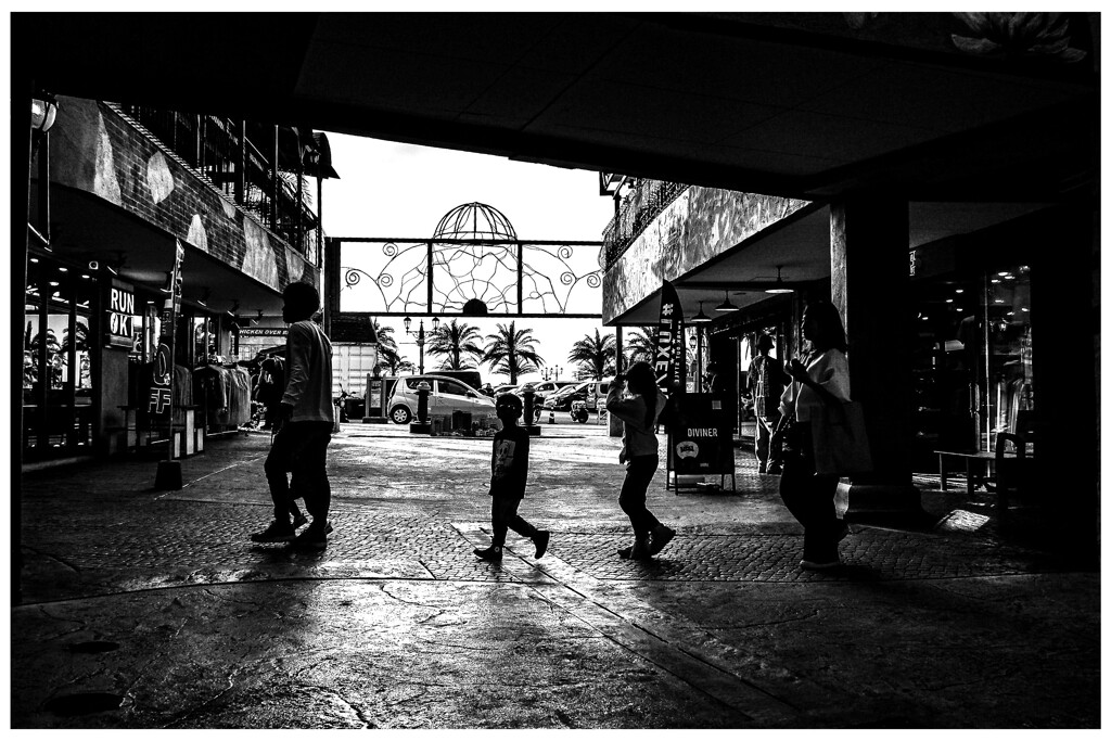 monochrome