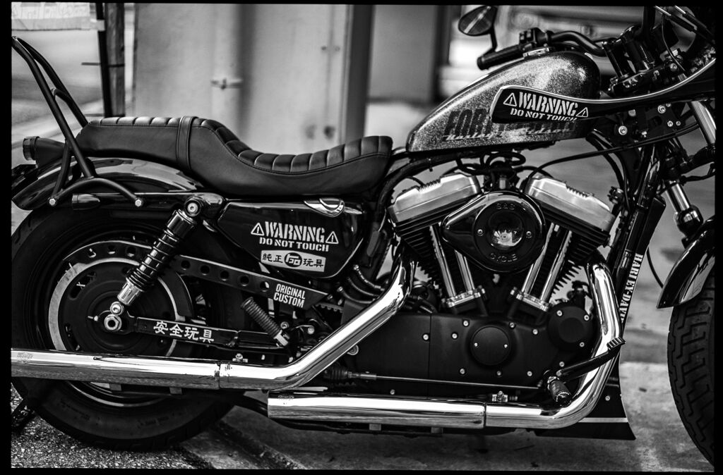 monochrome