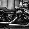 monochrome