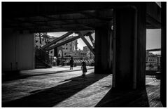 monochrome