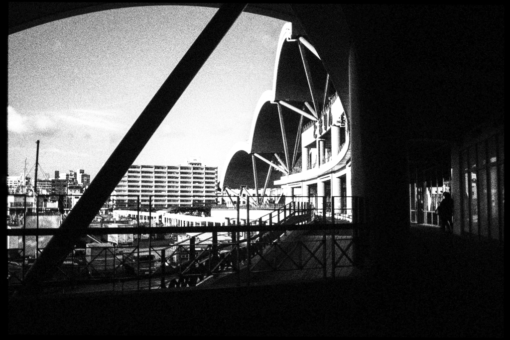 monochrome