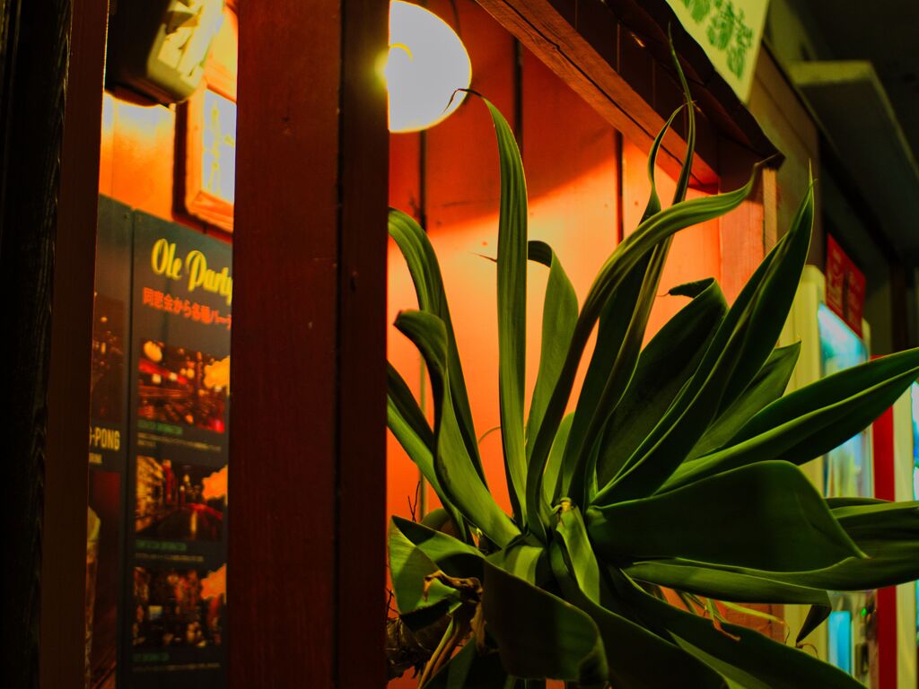 夜景
