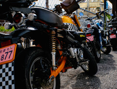 NEX-6