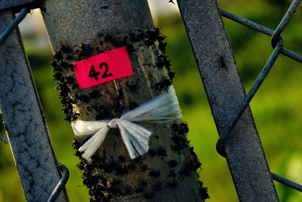 α7Sが帰ってきた。 ②