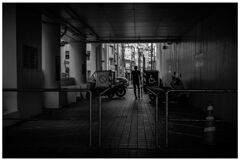 monochrome