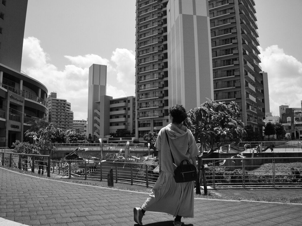 晴れた日