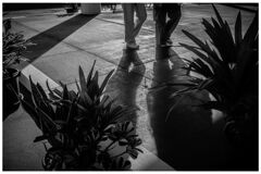 monochrome