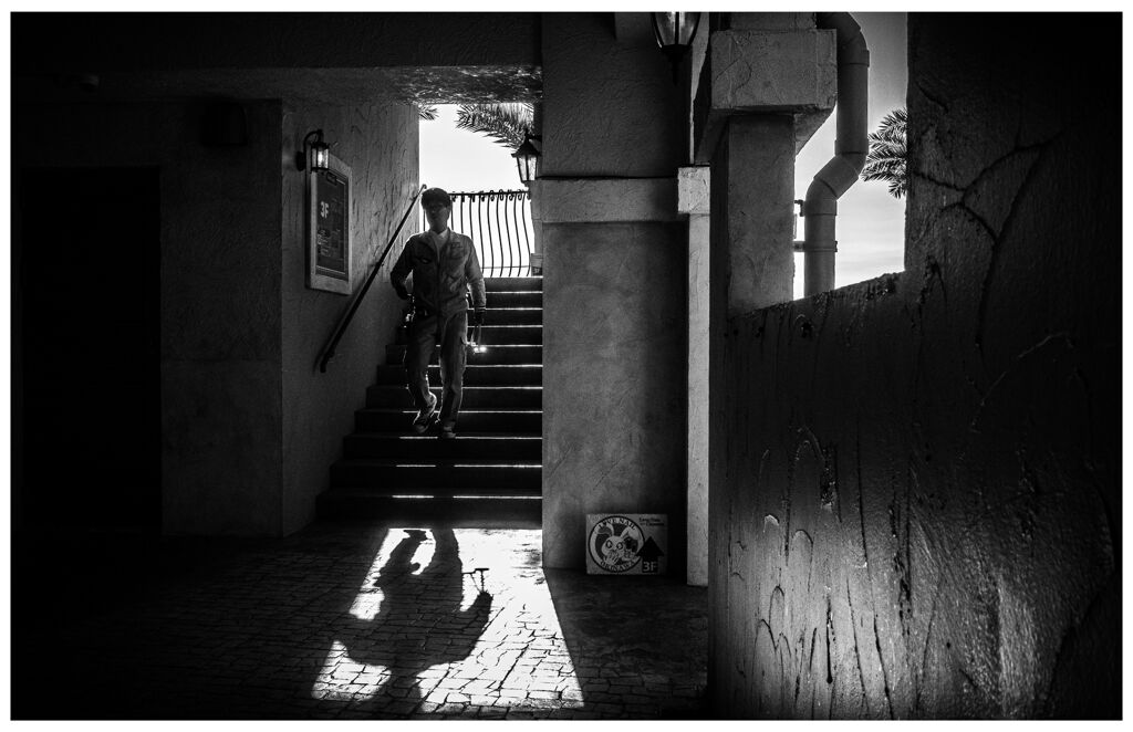monochrome