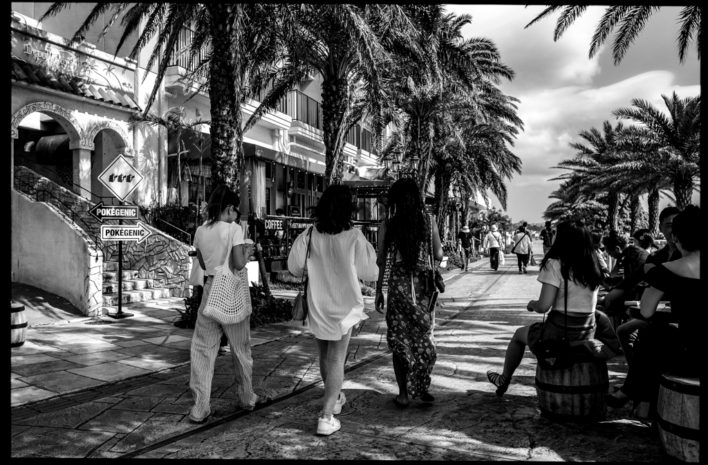 monochrome