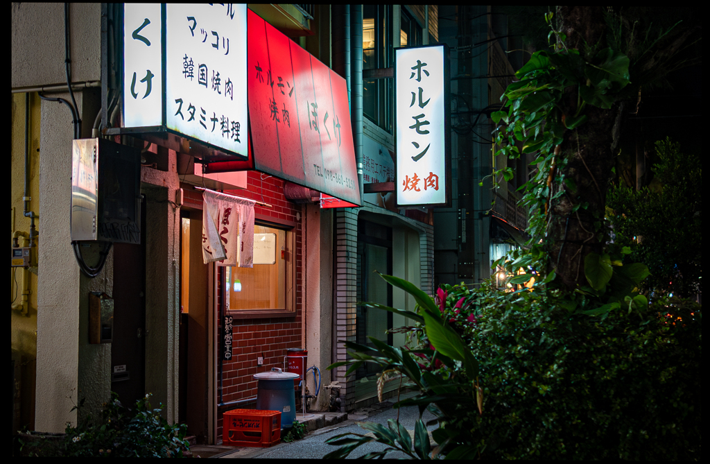 night view